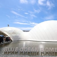 万博(5回目)に行って、アイルランド館やnull2を楽しみました_25/06/25