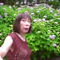 ７月の歌