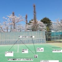 テニスの基本A　壁打ちの極意を掲載します！！　練習方法１～６・まとめ　時折更新！