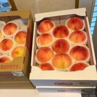 桃の季節になりましたね　2025年