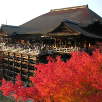 晩秋の京都に行く
