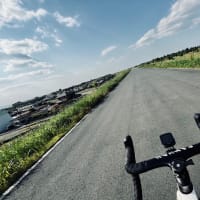 引っ越したがよ。