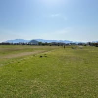 藤原宮跡