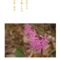 明けまして