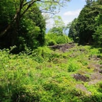 新緑と巨岩奇岩の鍋倉渓を歩く