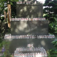 たまに行く赤塚山乗蓮寺の「東京大仏」！凛々しいお顔がたまりません！