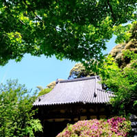 いずれ菖蒲か杜若-奈良県天理市：長岳寺