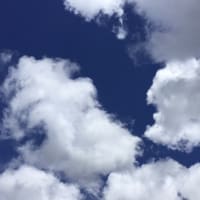 文月雲　20