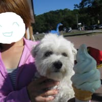 楽しい週末