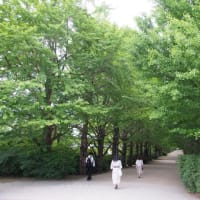 孤独死対策（　＆　老人とニャン　）の巻