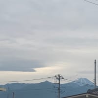 呼んでないけど🛸☁️出てきてくれた✨