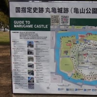 中世のバサラ武士、佐々木道誉ゆかりの丸亀城