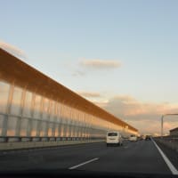 夏を惜しむ