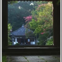 久しぶりの延命寺（2024.09 Ｎｏ.05）