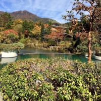みごとな紅葉
