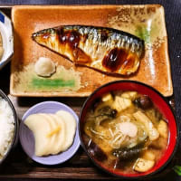 家で朝ごはん（ごはんは高知県産コシヒカリ、焼きさば、がんもどきと根野菜の煮物、なすのみそ汁、ゆず大根）（2024年6月4日）
