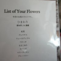 定期便　来たよ！　6月のお花は　元気いっぱい　ひまわり desu ☆彡