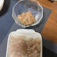２０２５.６.６　陸っぱり海釣行記No.1(チョイ投げNo.1)
