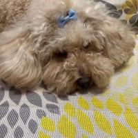 ちょっとだけ罪悪感にワックワク