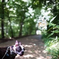 公園で汗かいて、カインズホームでクールダウン