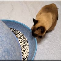 続・引っ越しネタ