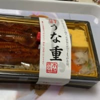 うな重弁当&冷やし中華