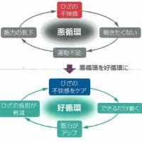 ダウン症の天才書道家 金澤翔子さん 健康を支える糖鎖 ダウン症の天才書道家 金澤翔子さん 健康を支える糖鎖