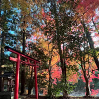 突然の出来事。
