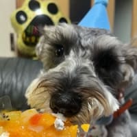 Happy birthday 🎂 
