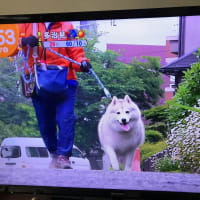 まったりアニマルカフェ