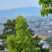 ぶらっと琵琶湖に出て、近江富士こと三上山に登る