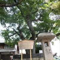 北国街道・木之本宿～其の二 in 滋賀県長浜市木ノ本町