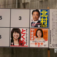 参議院選挙・車・　2025. 7. 4