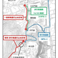 市道仙台城跡線、8/1（金）15時より再開