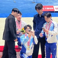 全日本体操個人総合選手権