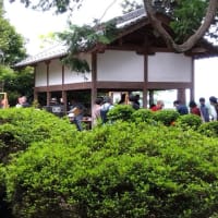 あいてます