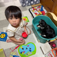 孫と動物園