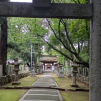 梅雨時期の楽しみ♪
