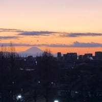 千葉県から富士山が・・