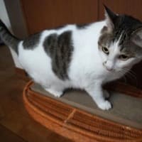 マロたん　意地悪してるん？