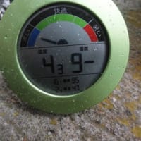 令和5年2月13日・今朝の東祖谷4.3℃