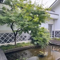 夢二とミュシャ