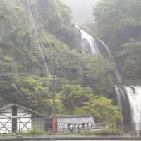 ゆふいんの森号（大分県の由布院駅〜福岡市の博多駅）という観光列車はとてもオススメ！