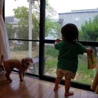 久しぶり！元気で生きてるよ！