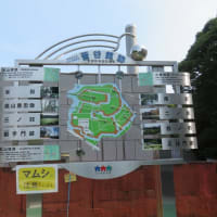 菅谷館のスタンプは・・・