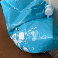 yogibo復活