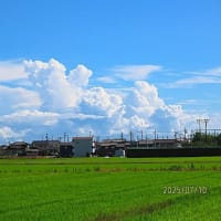 夏の雲