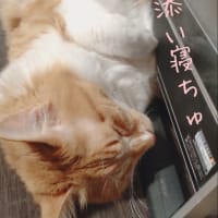 朝から口悪いけど