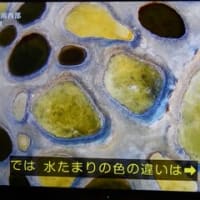 凄い！！としか・・「カナダ寒暖の奇観」より