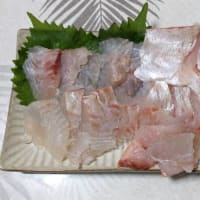 「【カゴ釣り、脈釣り】...」